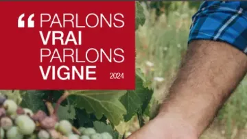 magazine pvpv 2024